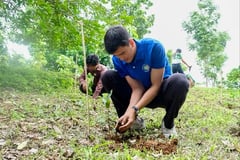 Volleyball superstar joins CCC, Bukidnon town tree-planting